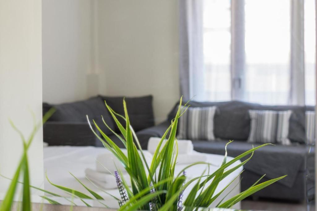 Lovely Studio Apartment For 2 Ppl In Athen Eksteriør bilde